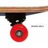 Skateboard  Spiderman mondo 18396