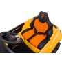 Auto Elettrica Macchina per Bambini 12V Lamborghini Urus