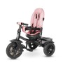 Triciclo Passeggino Premium QPlay con Sedile Girevole e reclinabile 6 in 1