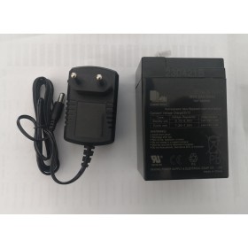 Kit Batteria 6V 4,5Ah + Caricabatterie 6V Vespa GTS